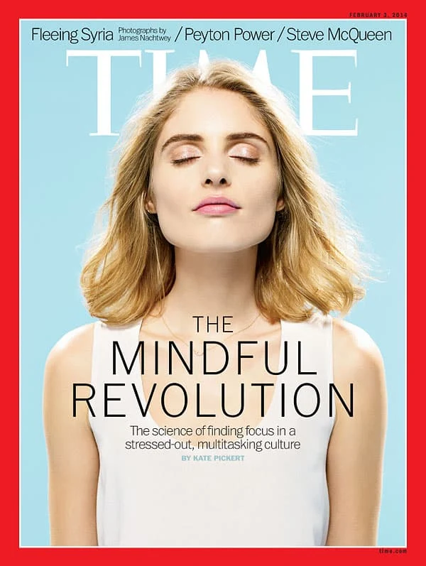 Time Magazine The Mindful Revolution cover successful people vs unsuccessful people Middle class Dad