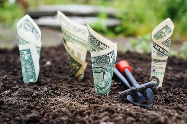 how-to-make-a-budget-money-garden-middle-class-dad