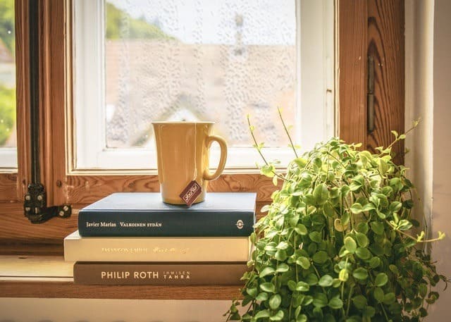 defogging double pane windows and double pane window fogging repair coffee cup on a stack of books in front of a beautiful window Middle Class Dad