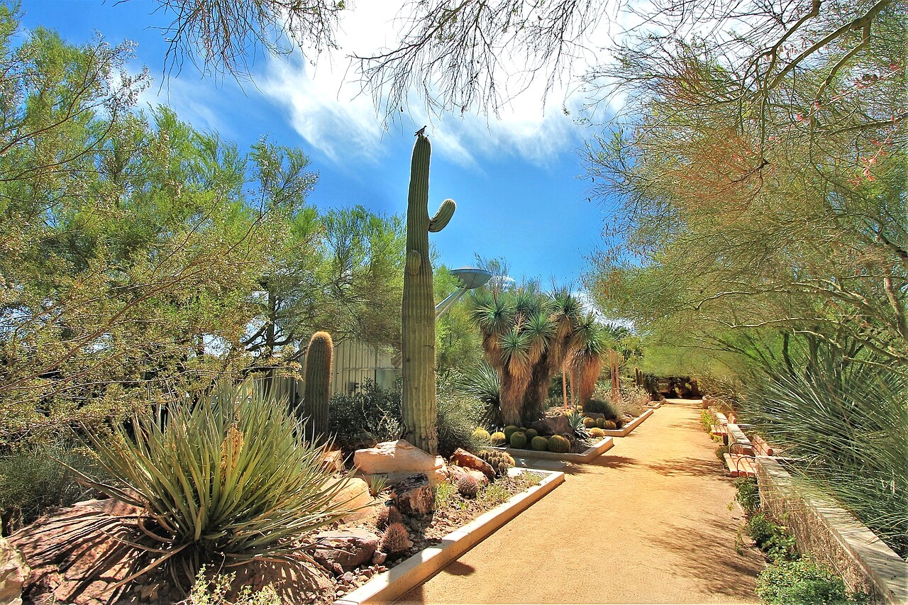 Springs Preserve Las Vegas, NV