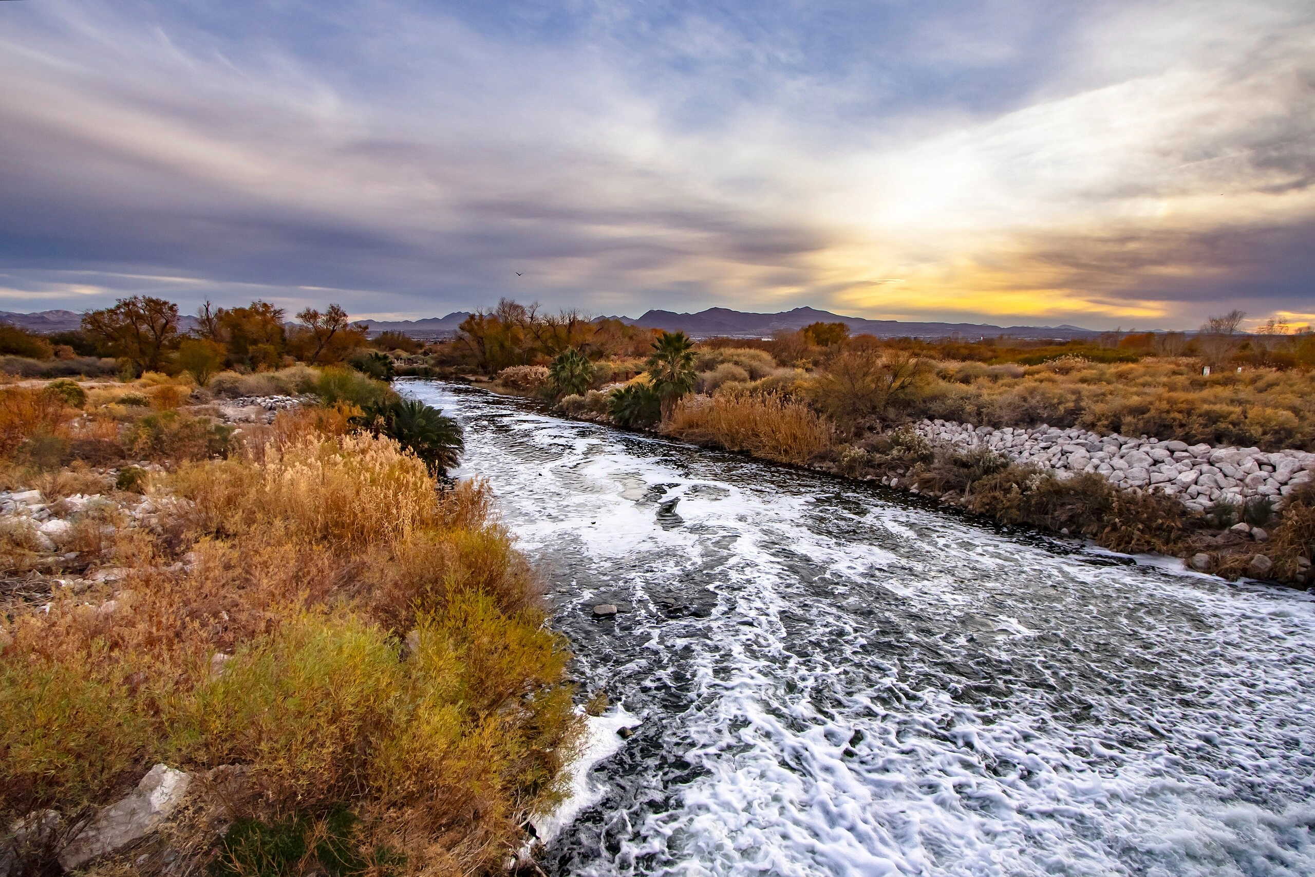 Las Vegas Wash and the Clark County Wetlands