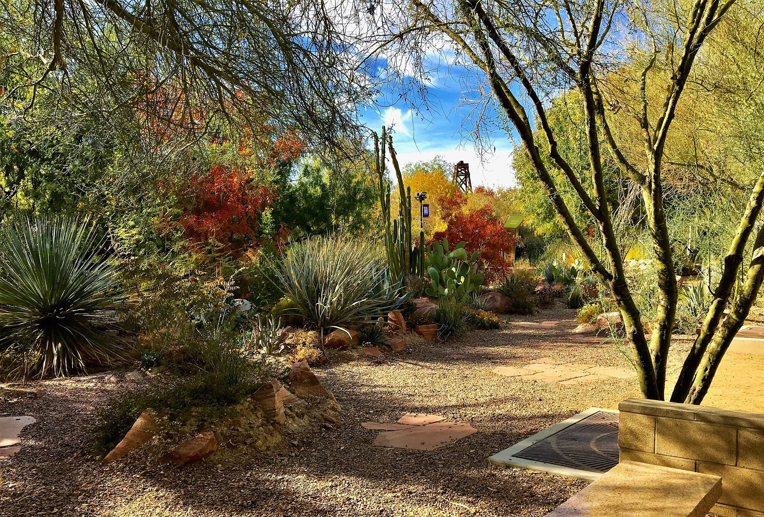 Springs Preserve Botanical Garden